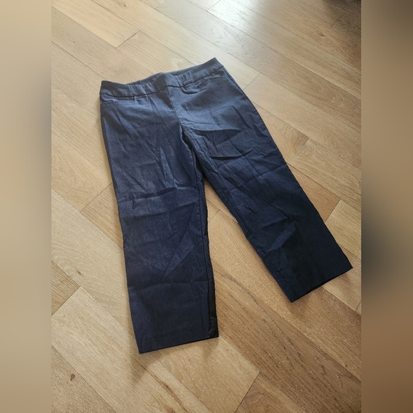 TIME AND TRU | NWOT blue dress capris - Picture 3 of 6